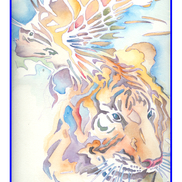 windwarddesign inc