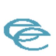 Edward Enterprises Inc