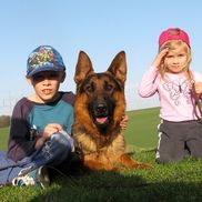 Dawn Hoppe K9