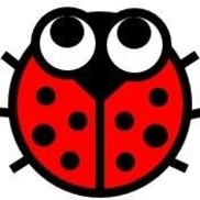 Training Beetle