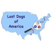 Lost Dogs of America