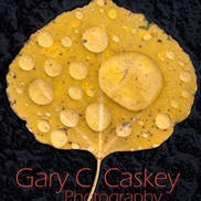 Gary Caskey Photography