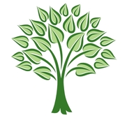 Cypress Public Accounting, LLC