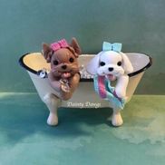 The Dirty Dog Shop
