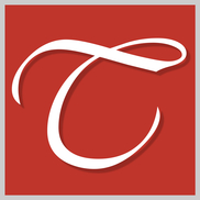 Taj Rugs