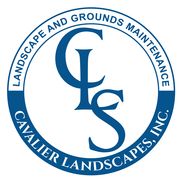 Lawn Care