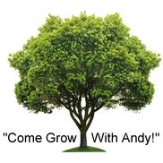 Andy's Bookkeeping and Income Tax