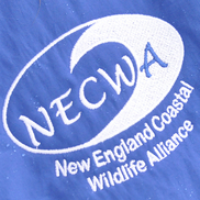 New England Coastal Wildlife Alliance