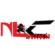 Next Level Connected LLC, Nevada MO