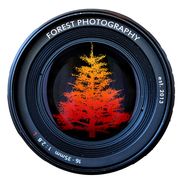 Forest Photography, LLC