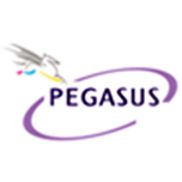 Pegasus (Handyman007)