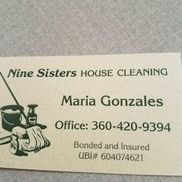 Nine sisters house cleaning 