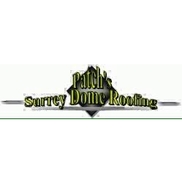 Patchs Surrey Dome Roofing