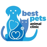 Best Pets Animal Clinic 