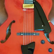 Karen Cannon Guitarist