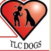 Dog Obedience Training, Behavioural, Dog Walking