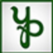 YP Accounting Services