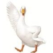 Aflac