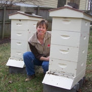Cold Harbor Bee Farm LLC
