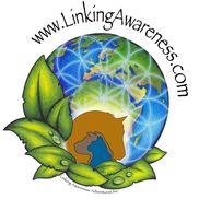 Linking Awareness Adventures Inc.
