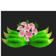 Natural N’ Unique LLC