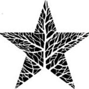 Lifestar... the art of healing