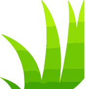 Hamilton Environmental Landscapes