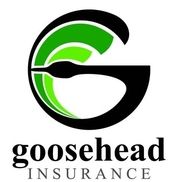 Goosehead Insurance Lake Houston Agency