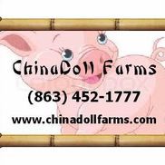 Chinadoll Farms, Avon Park FL