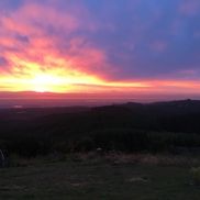 Healing Hands Services