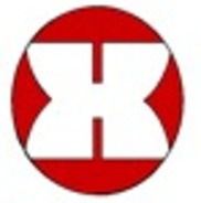 HIE Holdings, Inc.