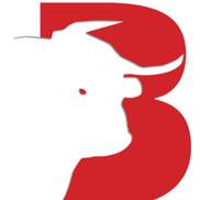 BULLSEYE PRODUCTS LLC