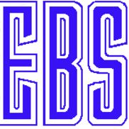 Electronic Business Systems