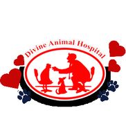 Divine Animal Hospital