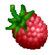 The Raspberry Connection