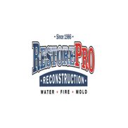 RestorePro Recontruction