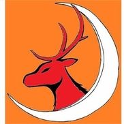 Red Stags of Red Deer