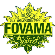 Fovama Oriental Rugs & Carpets of Westchester