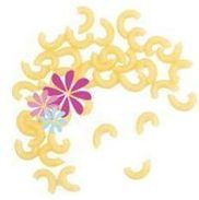 Macaroni Kid Wilkes-Barre, PA