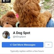 Adogspot