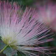 The Quiet Zone Coaching