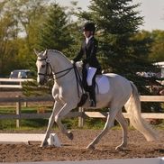 YOUR HORSES PHOTOGRAPHY