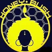 Honey Bush Natural Hair Studio Philadelphia Pa Alignable