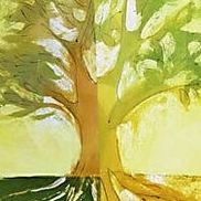 Greenwood Contracting, Phoenix AZ