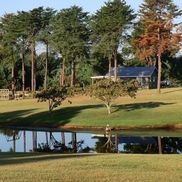 Lions RV Park & Cabins
