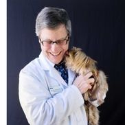 Arch Beach Veterinary Clinic, Laguna Beach CA