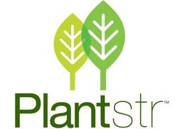 Plantstr – Air Plants & More, Miami FL