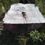 Nature's Knots Custom Furniture, Leicester NC
