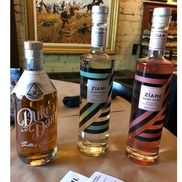 Testa Wines of the World