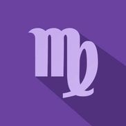 Virgo Finance llc